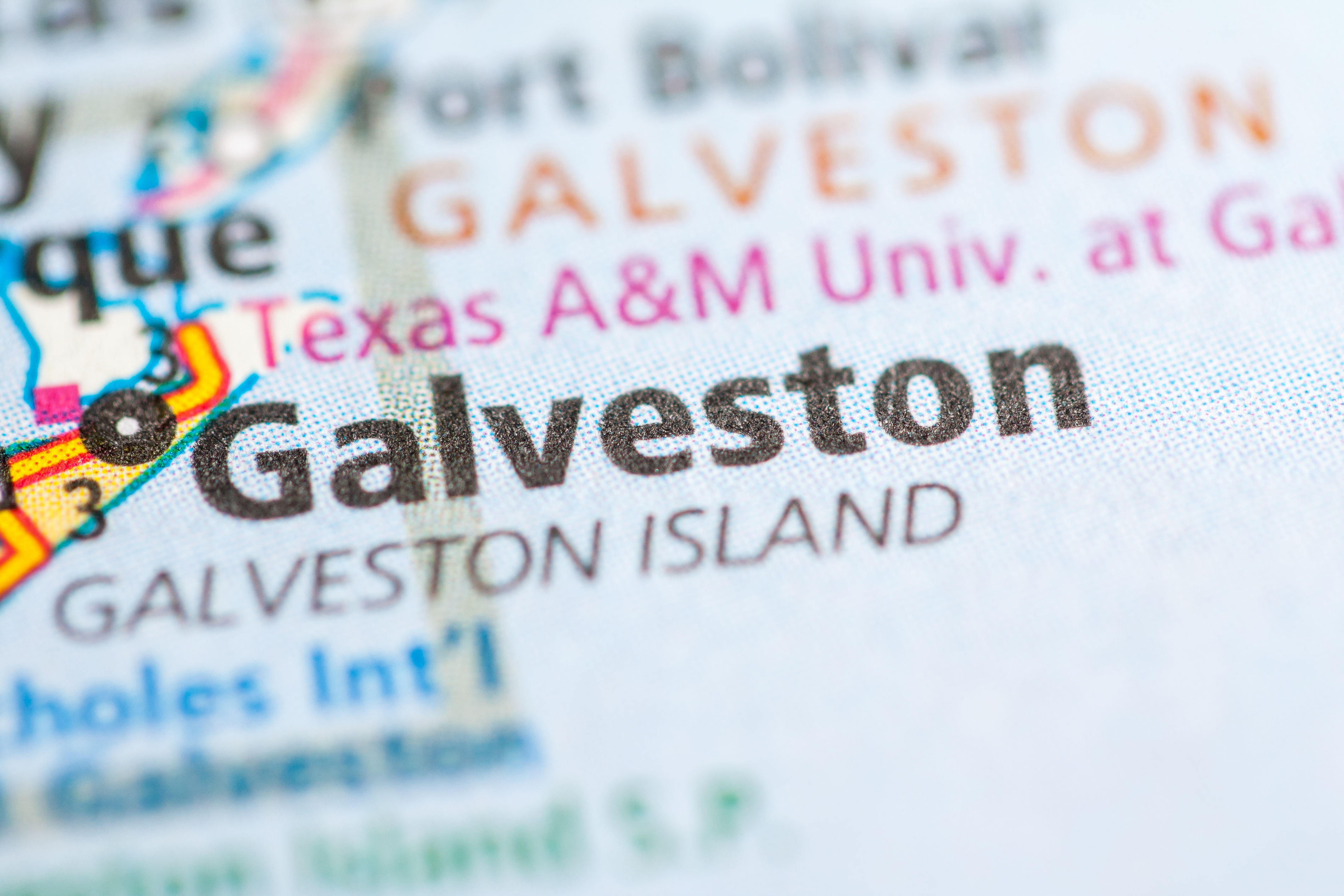 Shutterstock 537247189